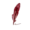 ✒️