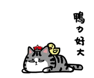🐤 鴨力好大 mèo, vịt, hoạt hình, động vật, nhãn dán, dễ thương, hài hước telegram sticker