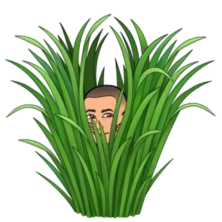 🌟 rumput, bersembunyi, orang, kamuflase, mengintai telegram sticker
