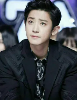 🌙 Chanyeol kpop, cantor, ator, idol, exo, coreano, celebridade telegram sticker
