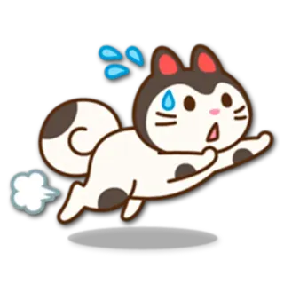 🙀 kot, bieganie, przerażony, kreskówka, pot, zwierzę, naklejka telegram sticker