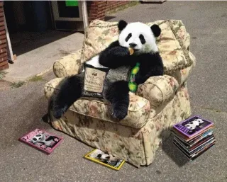 🙁 Panda, Cadeira, Engraçado, Animal, Cerveja, Relaxante telegram sticker