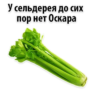 😢 У сельдерея до сих пор нет Оскара aipo, comida, vegetal, humor, russo, oscar telegram sticker
