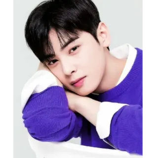 Cha Eunwoo telegram stickers