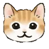 🐱