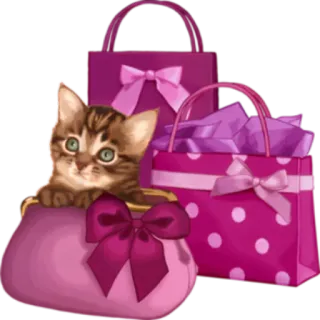 🛍 anak kucing, kucing, tas, tas belanja, merah muda, imut, menggemaskan telegram sticker