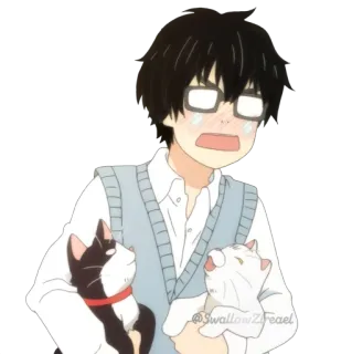 😢 @SwallowZFeael Anime, Con trai, Mèo, Hoạt hình, Hình dán, Kính telegram sticker