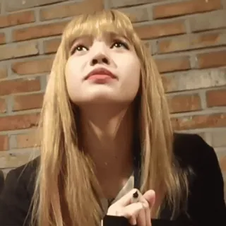 Lisa (Video) 🍁 telegram stickers