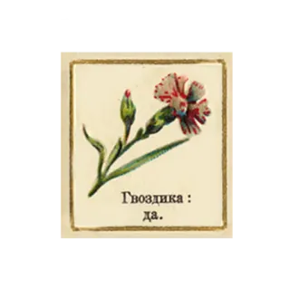 😃 Гвоздика: да. fleur, oeillet, plante, vintage, russe telegram sticker