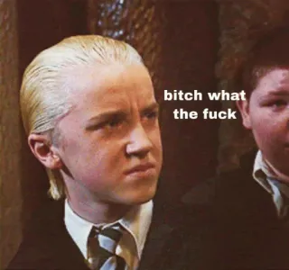 😊 Draco Malfoy Harry Potter bitch what the fuck harry potter, malfoy, draco, slytherin, meme, ofensivo telegram sticker