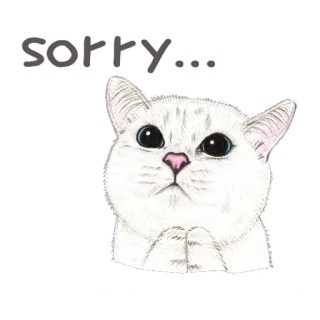 😒 고양이, 동물, 귀여운, 흰색, 카와이, 애완동물, 고양이과 telegram sticker