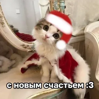 🌟 С новым счастьем :3 cat, christmas, santa, new year, cute, winter, holiday telegram sticker