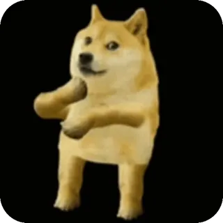 Anidoggo whatsapp stickers