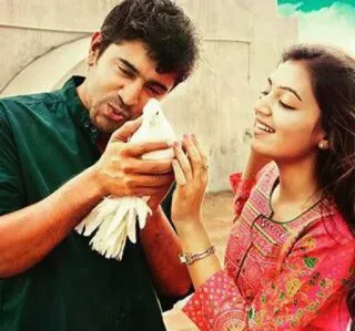 🥰 gens, couple, pigeon, amour, oiseaux, indien telegram sticker