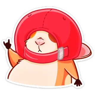 🤘 criceto, animale, cartone animato, casco, adesivo, carino telegram sticker