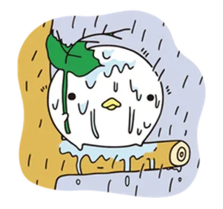 ☔️ animal, pássaro, pintinho, fofo, kawaii, chuva telegram sticker