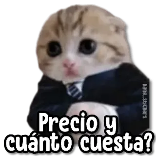 😀 Precio y cuánto cuesta? 猫, 小猫, 西装, 询问, 价格, 商务, 喵 whatsapp sticker