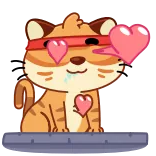 😍 mèo, yêu, trái tim, mắt, dễ thương, nhãn dán, động vật, phim hoạt hình whatsapp sticker