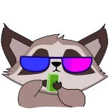 🤑 浣熊, 眼镜, 酷, 动物, 卡通 whatsapp sticker