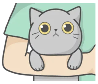 😐 kat, kitten, dier, schattig, huisdier, cartoon telegram sticker