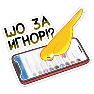 😡 ЩО ЗА ИГНОР!? papegaai, telefoon, negeren, vogel, sticker telegram sticker
