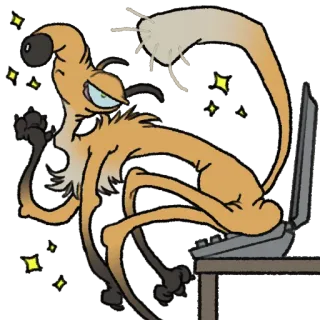 💻 whatsapp sticker
