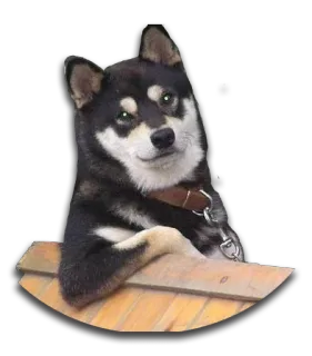 DontBeDog telegram stickers