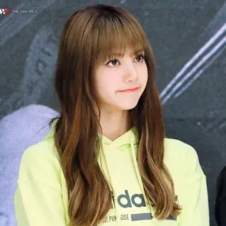 🐬 Lisa kpop, idol, lisa, blackpink, chanteuse, femme, personne telegram sticker