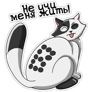 😝 Не учи меня жить! cat, sticker, russian, expression, animal, funny telegram sticker