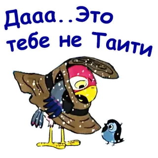 🥶 Даа...Это тебе не Таити pájaro, invierno, nieve, dibujos animados, ruso whatsapp sticker