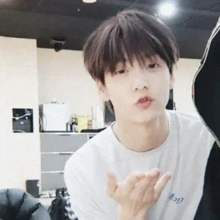 🎐 whatsapp sticker