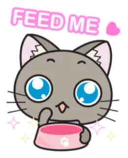 😋 FEED ME cat, pet, hungry, cute, animal, kitten whatsapp sticker