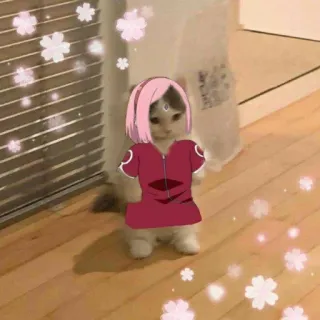 📿 Sakura Haruno Naruto cat, sakura, haruno, naruto, anime, cartoon, cute, manga telegram sticker