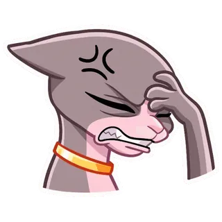 🤦♀️ zły, sfrustrowany, zirytowany, kot, zwierzę whatsapp sticker