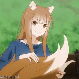 🥰 Holo Spice and Wolf @fox_a_fox whatsapp sticker