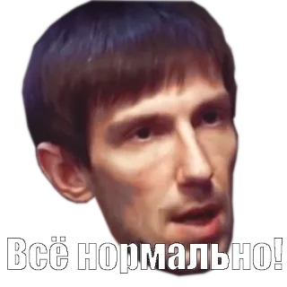 👍 Всё нормально! Meme, Ruso, Normal, Ok telegram sticker