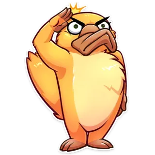 👌 cartoon, duck, salute, angry, cute, animal telegram sticker
