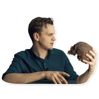 💀 homem, caveira, ciência, arqueologia, história, anatomia, pesquisa telegram sticker