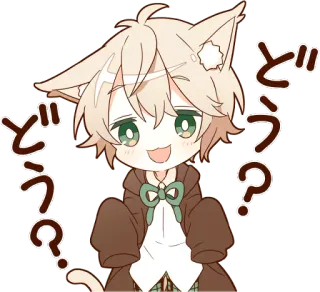 ❓ どう Аниме, Кот, Каваий, Милый, Парень whatsapp sticker