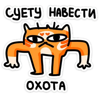 ⭐ СУЕТУ НАВЕСТИ
ОХОТА Katze, Meme, Lustig, Russisch, Text, Tier telegram sticker