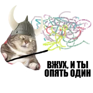Кот вжух whatsapp stickers