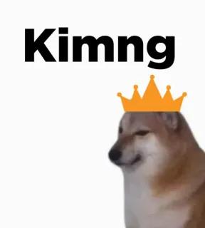 🔥 Kimng 개, 왕관, 밈 telegram sticker