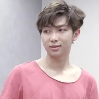 🙄 RM persona, hombre, kpop, ídolo, retrato, celebridad whatsapp sticker