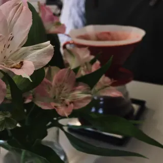 ☕ flores, buquê, café, pour over, rosa, alstroemeria, natureza morta whatsapp sticker