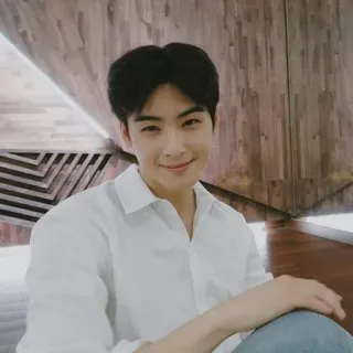 〽 Cha Eun-woo kpop, astro, actor, ídolo, cantante telegram sticker