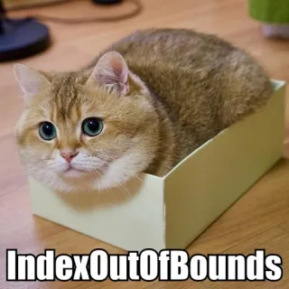 🙃 IndexOutOfBounds cat, box, error, programing telegram sticker