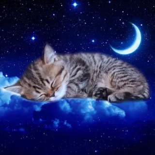 😴 kot, kotek, sen, chmury, księżyc, gwiazdy, noc telegram sticker