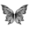 🦋