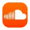 🎵