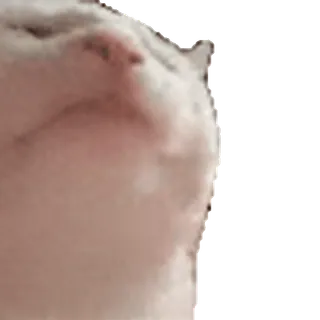 🕺